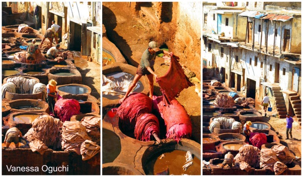 Views of the tanneries